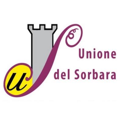 Convocazione Consiglio dell’Unione del 29 novembre 2024 foto 