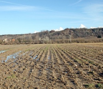 Contributi a fondo perduto alle imprese agricole del comune di Castelfranco Emilia foto 